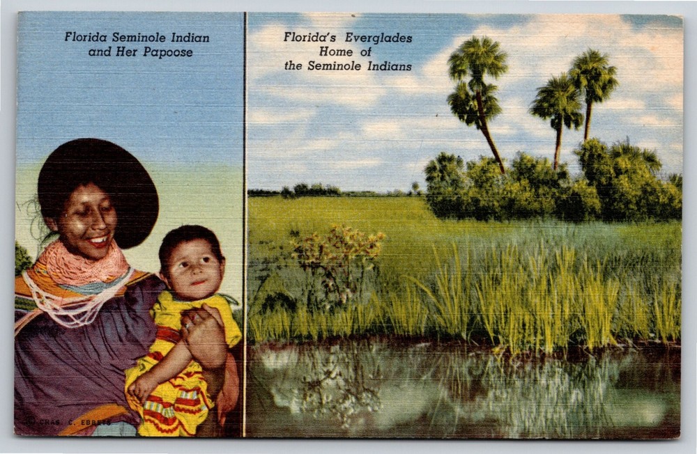Native Americana~Florida Everglades Seminole Indians~Vintage Postcard
