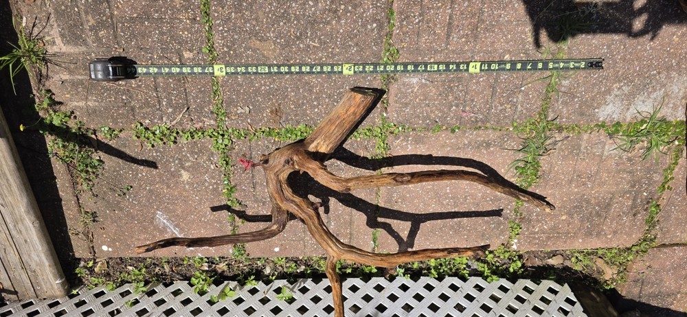 Aquarium Driftwood