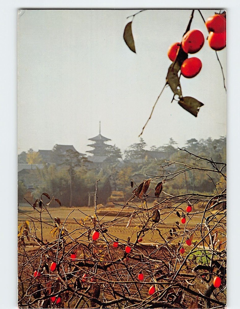 Postcard Distant View Of Horyuji Temple In Autumn Nara Japan
