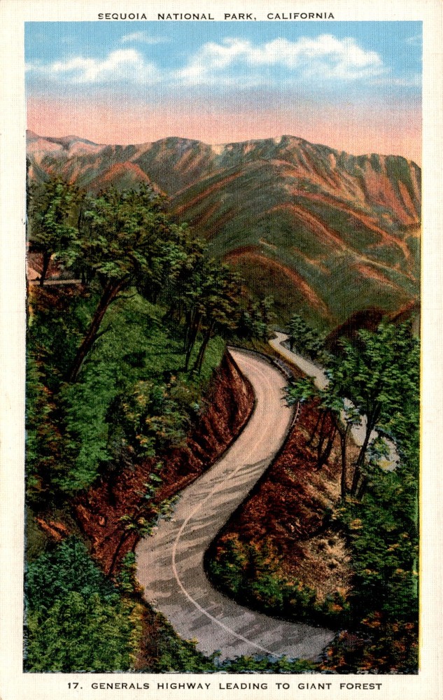 Sequoia National Park, California, Generals Highway, Giant Forest, Postcard