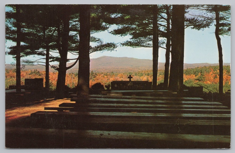 State View~Rindge New Hampshire~Cathedral of the Pines~Vintage Postcard