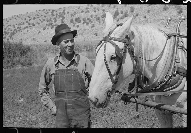Mormon farmer,Box Elder County,Utah,UT,Farm Security Administration,FSA,1940,1