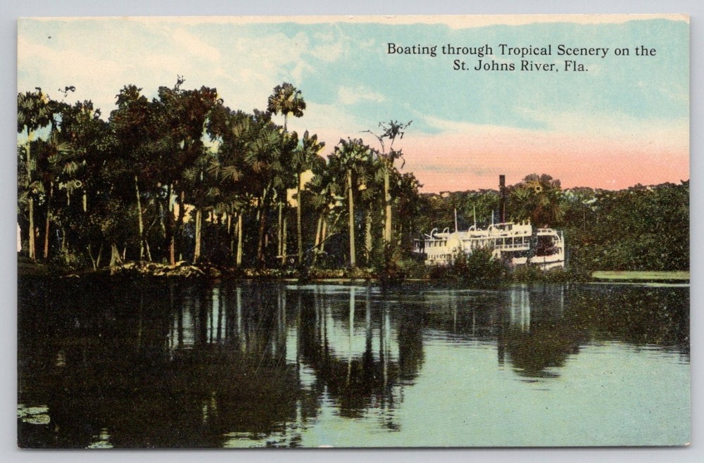 St. Johns River Florida Steamboat Tropical Scenery Postcard O'Neill Co.