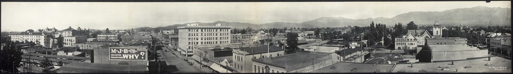 Bird's Eye View,Pasadena,California,CA,c1908,MJB Coffee,Cityscape,Palm Trees