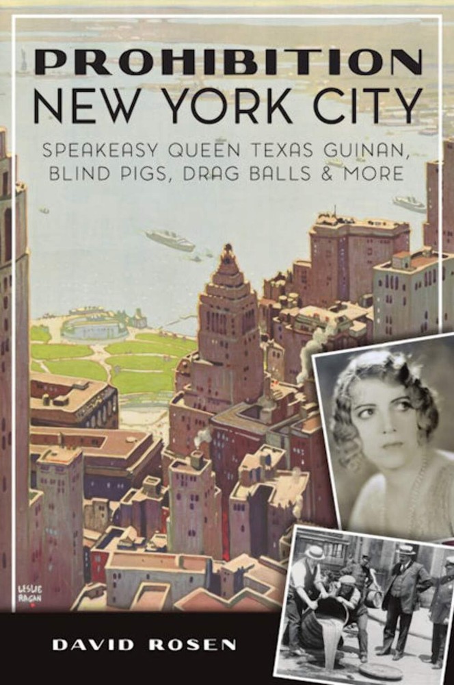 NEW The History Press Prohibition New York City, NY 9781467146418  Trade Paperba