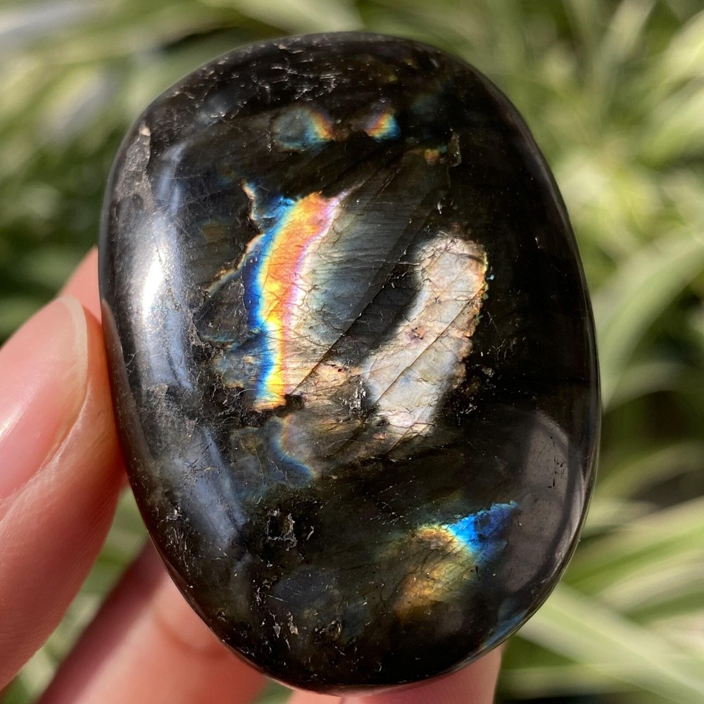 49g Natural Flashy Rainbow Labradorite Palm Crystal Quartz Healing Reiki