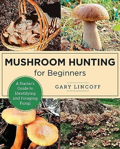 Mushroom Hunting for Beginners: A Starter's Guide to Identifying and Foraging Fu