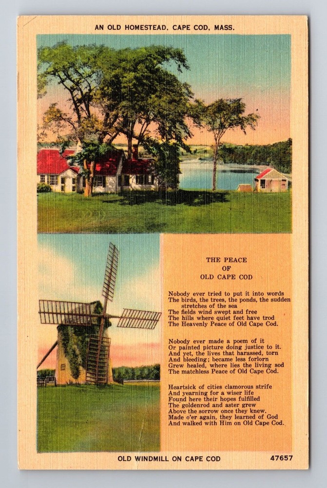 Cape Cod MA-Massachusetts, An Old Homestead, Antique, Vintage Souvenir Postcard