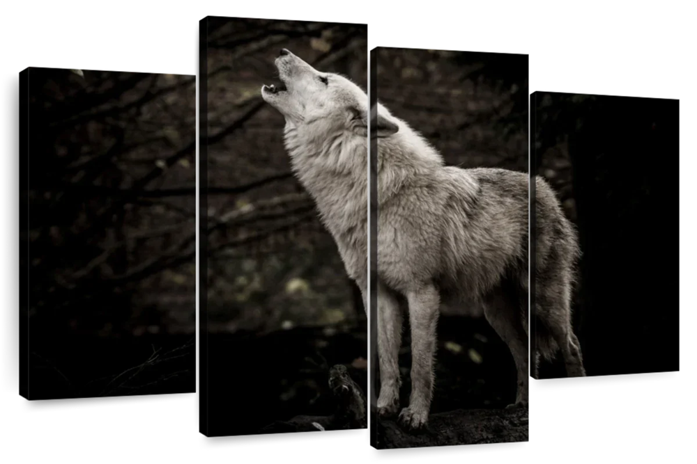 The Lone Wolf Wall Art