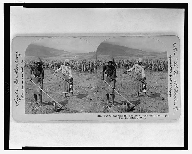 Photo of Stereograph,Hard Labor,Tropic Sun,Saint Kitts,BWI,British West Indies