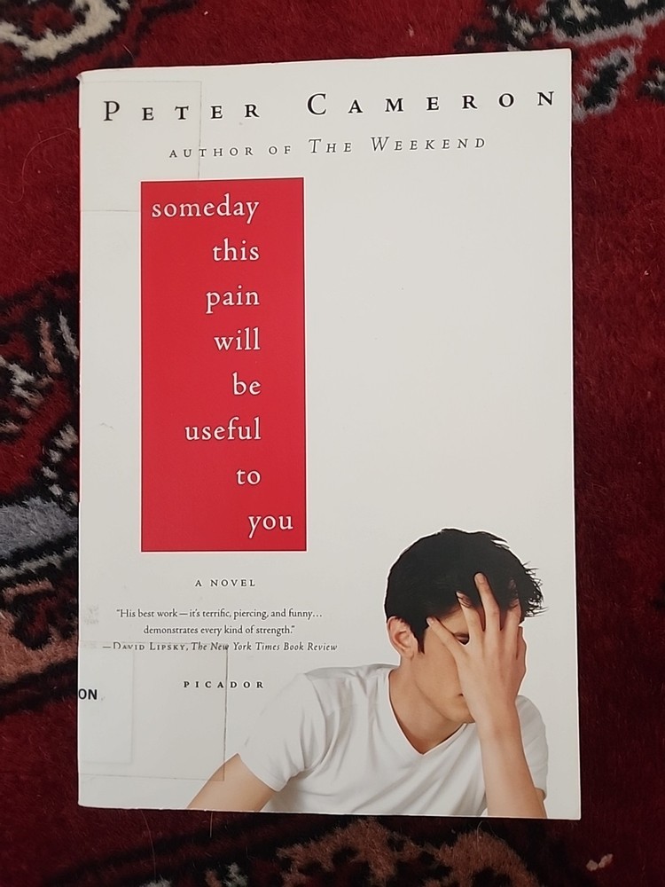 Someday This Pain Will Be Useful to You : A Novel by Peter Cameron (2009, Trade