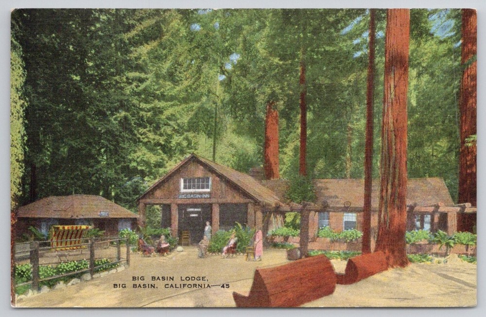Big Basin Lodge Inn California Redwood Forest Vintage Postcard E.C. Kropp