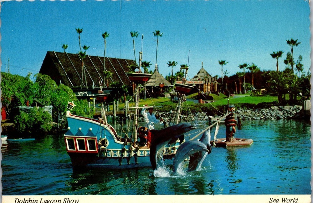 Vintage Postcard Dolphin Lagoon Show Sea World San Diego California CA