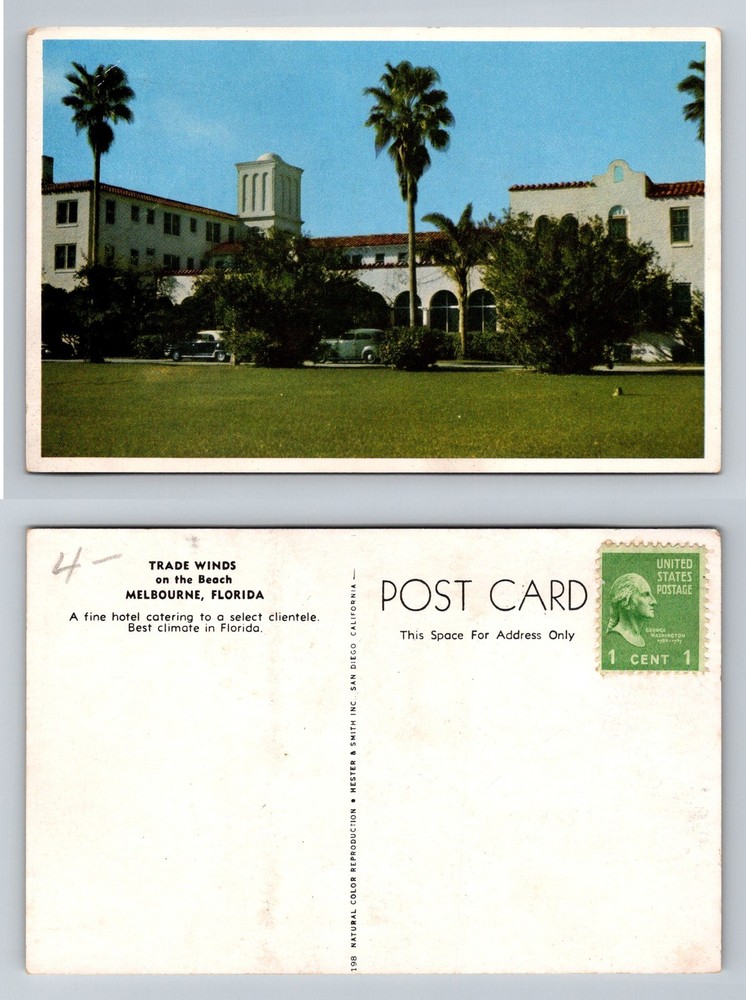 Melbourne, FL-Florida, Trade Winds Beach Hotel Palm Trees Vintage Postcard