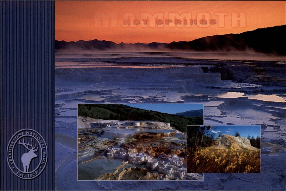 Yellowstone Natl Park Wyoming Mammoth Hot Springs mulitiview vintage postcard