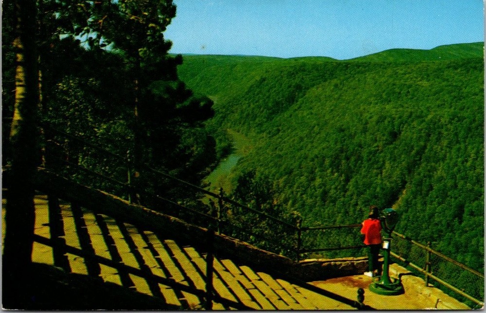 1955 PA Grand Canyon Leonard Harrison State Park Lookout Postcard