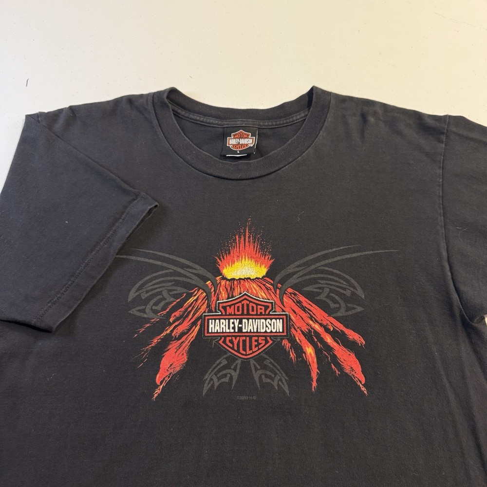 Vintage Harley Davidson Flame Volcano Graphic Tee Waukon Iowa Black Men’s Large