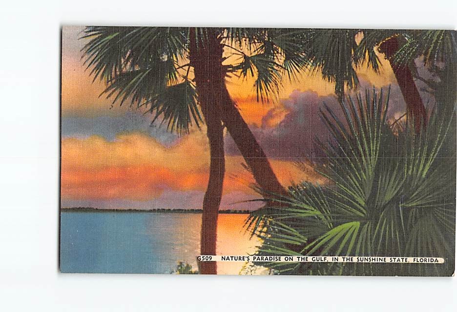 Postcard Natures Paradise On the The Gulf In The Sunshine State Florida USA