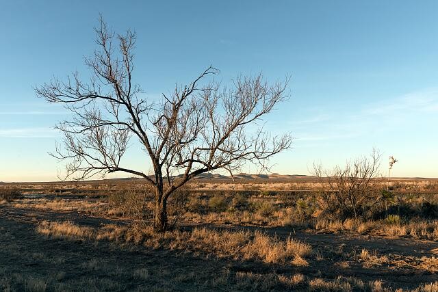 Photo:Far West Texas Rural Winter Scene 2014 Midwinter Landscape