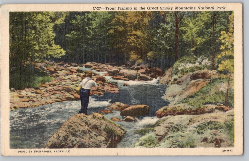 Trout Fishing in the Great Smoky Mountains National Park Teich Linen Postcard