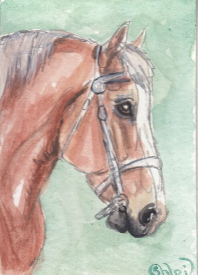 ACEO original Watercolor Art Card HORSE chestnut Belgian Heavy Draft stallion
