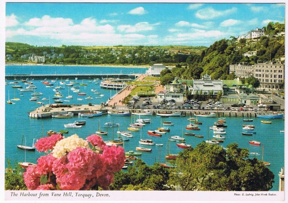 Postcard The Harbour From Vane Hill Torquay Devon UK