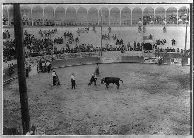 Bull fight,Mexico,matador and bull in arena,bull's head is to left,crowd