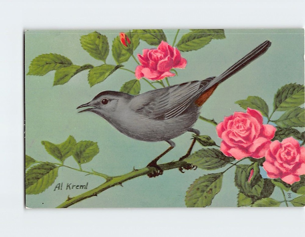 Postcard Cat Bird with Roses