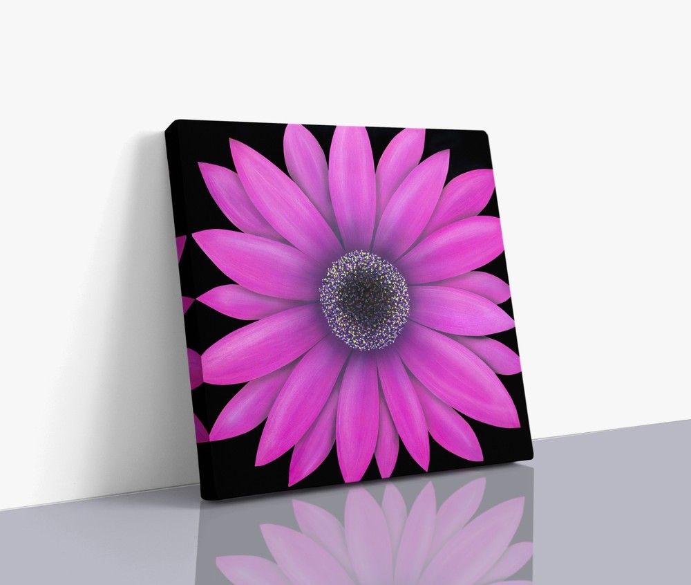 Pink Daisy Flower Canvas Wall Art  Modern Floral Giclée Print 24x24 Home Decor