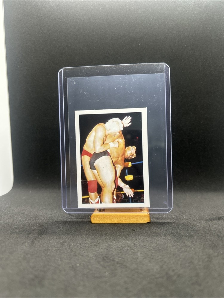 Rare Stone Cold Steve Austin 1991 WCW Euroflash Rookie Sticker Card WWE WWF 87