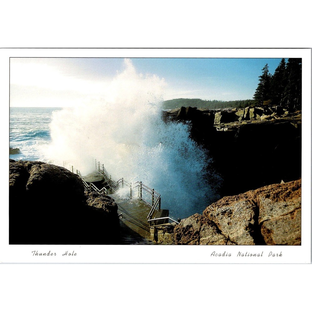 Thunder Hole in Acadia National Park Vintage Postcard SPP12-image