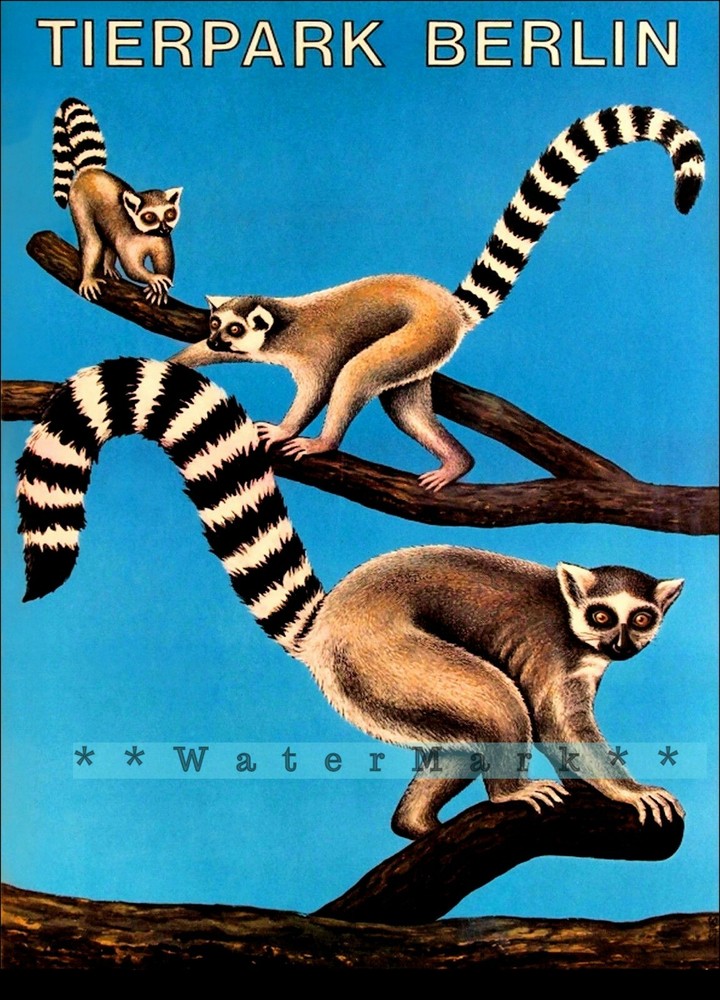 Vintage 1960 Zoo Berlin Lemur Poster Retro Travel Decor Germany  