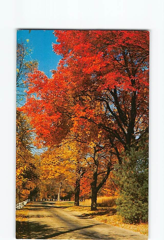 Postcard Country Road Autumn Nature Scene