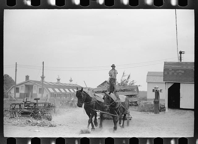 Brandtjen Dairy Farm Dakota County Minnesota 1939 Silo Barn Horse Wagon
