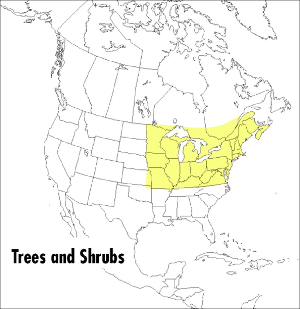 A Peterson Field Guide To Trees And Shrubs: Northeastern and North-Central Unit,