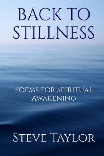 Steve Taylor Back to Stillness (Paperback) (UK IMPORT)All Tariffs and Duties included - no additional charges