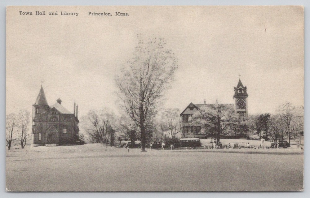 Vintage Princeton Mass Postcard Town Hall and Library Albertype Co.