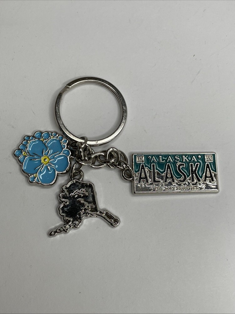 Alaska Aurora License Plate, Forget-Me-Not and Alaska Keychain