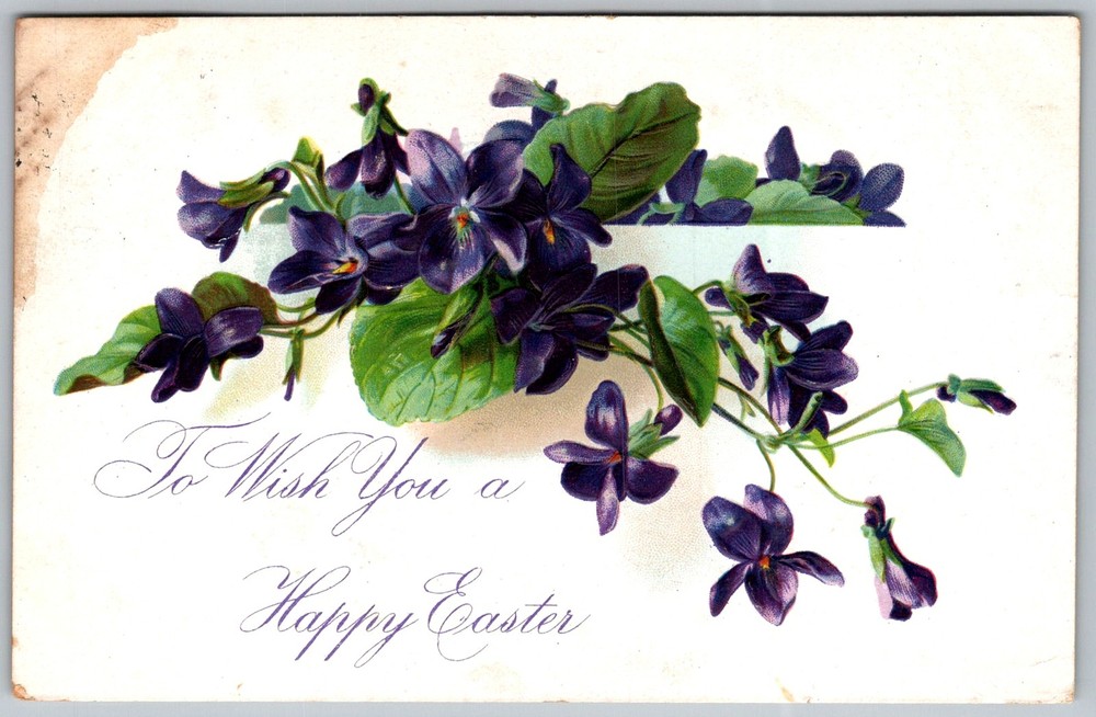 Antique Postcard Violets Floral Greeting 1910s