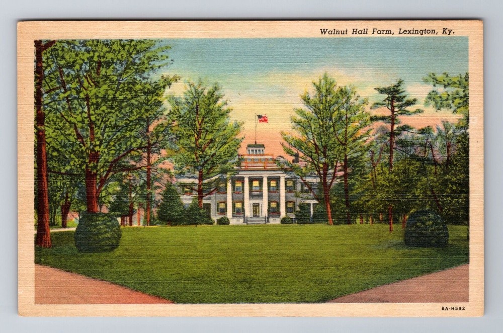 Lexington KY-Kentucky Walnut Hall Farm, Antique Vintage Souvenir Postcard