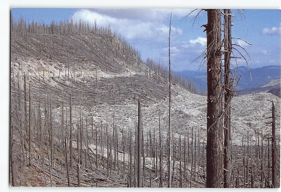 Postcard Eruption of Mt. St. Helens Aftermath Washington USA