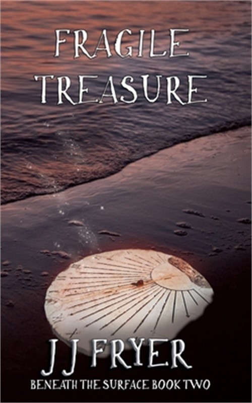 Fragile Treasure (Paperback or Softback)