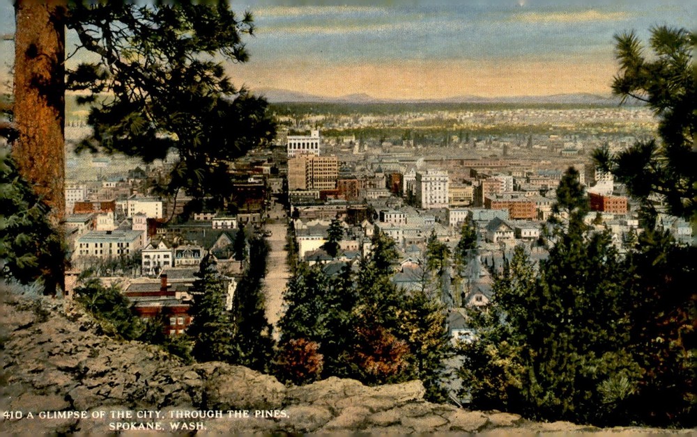Spokane, Washington through the pines Postcard