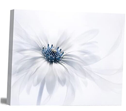 - Contemporary Art Daisy Flower in White and Bedroom Wall 24L