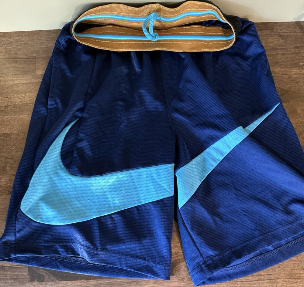 Nike Men’s Blue Athletic Shorts Elastic Waist Large Swoosh Logo Sports Summer
