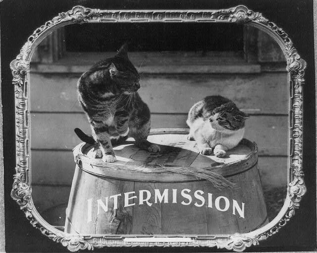 Photo,Intermission,Movie Theaters,c1912,Two cats on Barrel,Motion Pictures