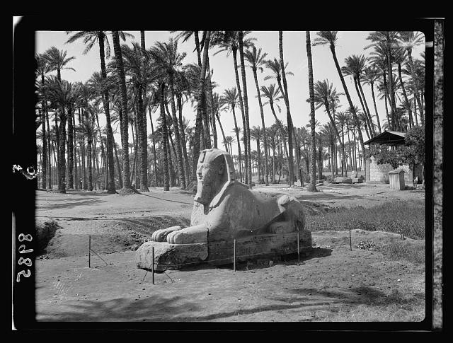 Photo:Egypt. Memphis. Basalt sphinx in paleu grove