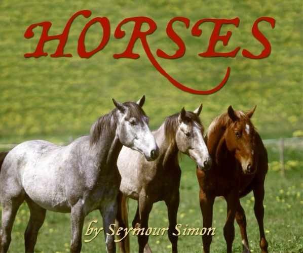 Horses: Revised Edition - Hardcover, by Simon Seymour - Very Good