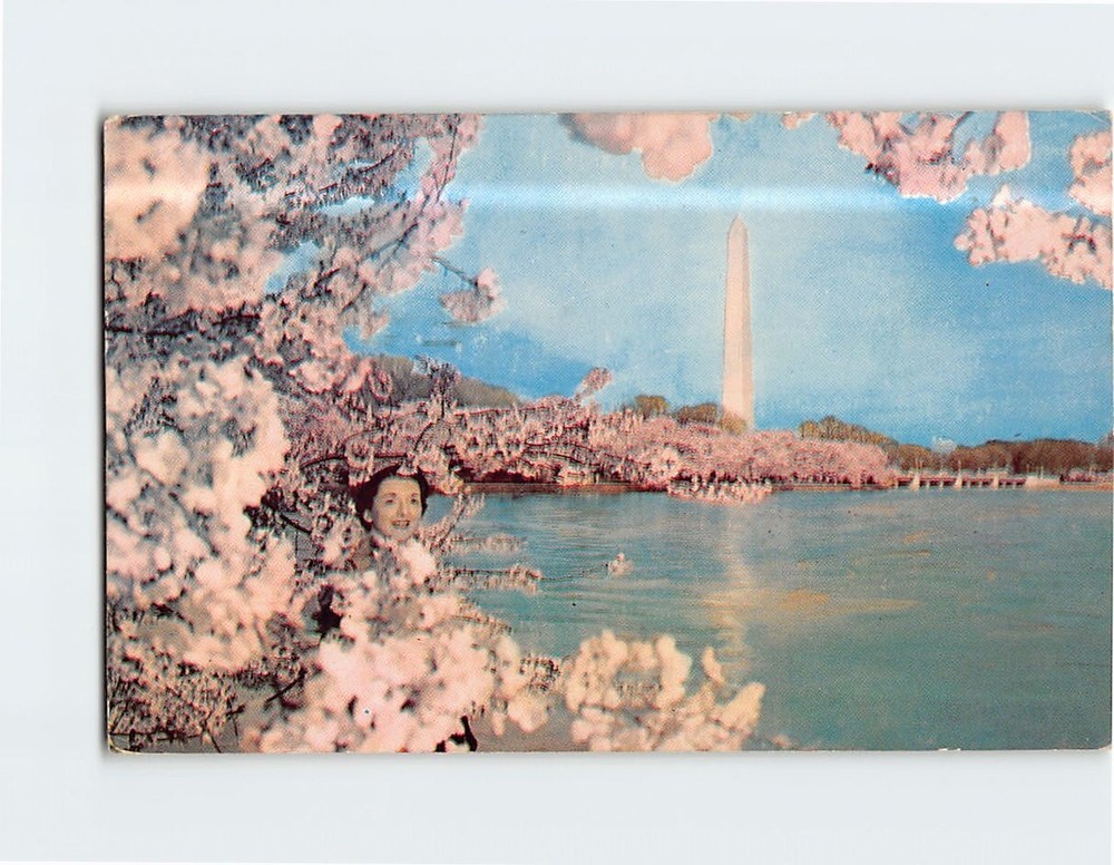 Postcard Washington Monument Cherry Blossom Time Washington DC USA
