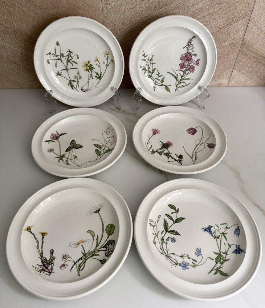 6 Portmeirion The Queen's Hidden Garden 7-1/2” Bread And Butter Plates